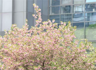 人形机器人赋能医疗新图景：科技守护生命健康